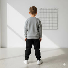 Grey Big Dinosour Printed Kids Track Suit